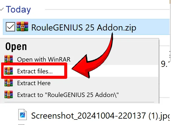 unzip-addon-roulegenius